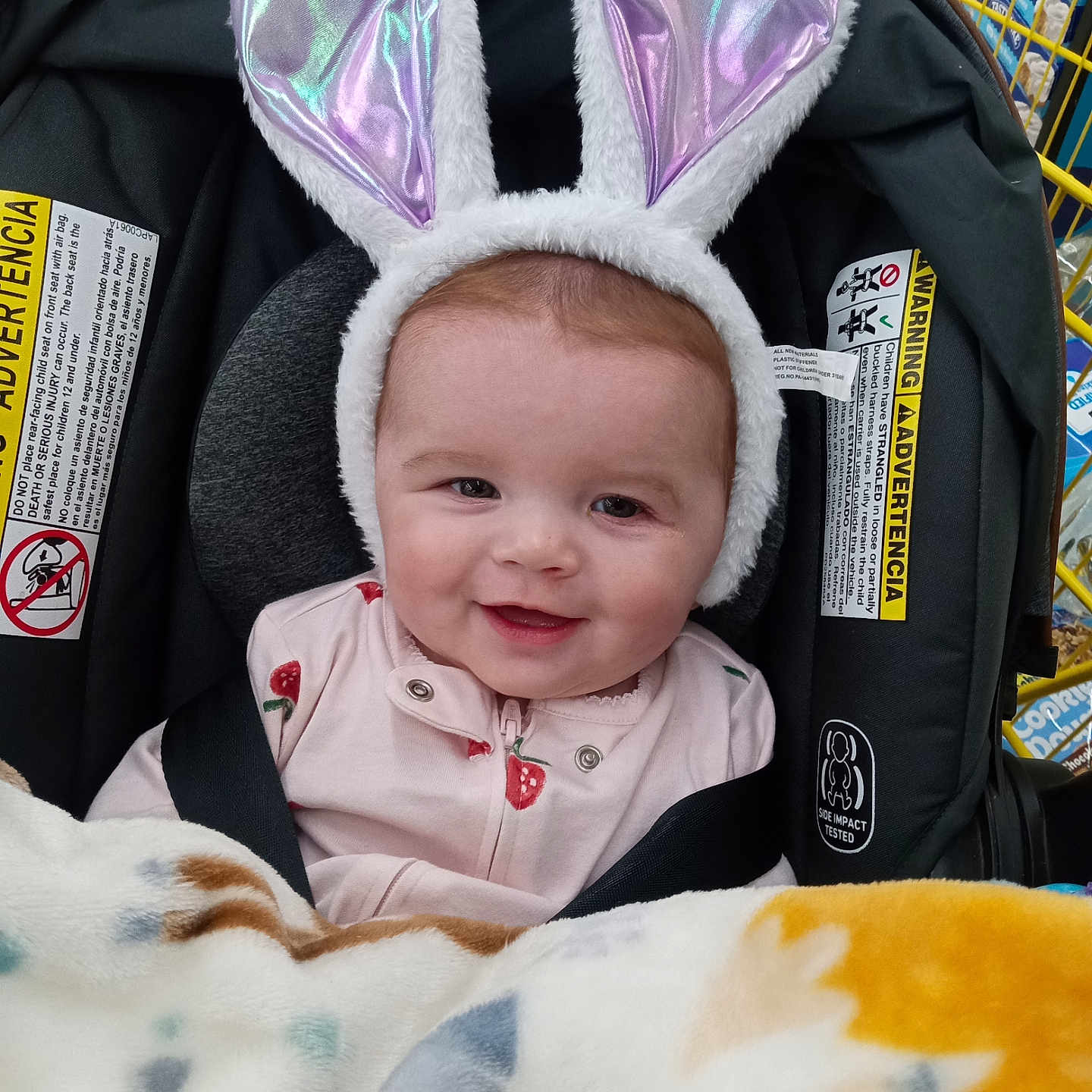 Everleigh