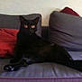 Filou participe au concours pour gagner de l'argent avec cette photo :