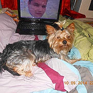 Filou participe au concours pour gagner de l'argent avec cette photo :