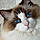 Yuppy