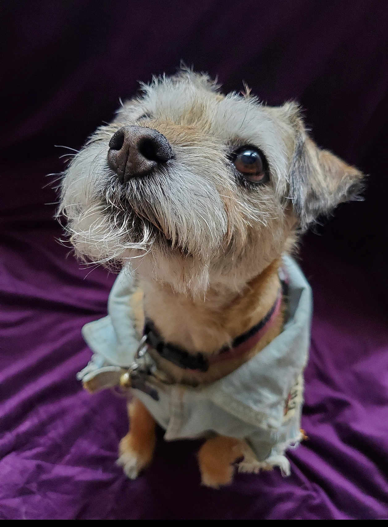 Muffin