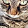 Titou