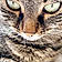 Titou