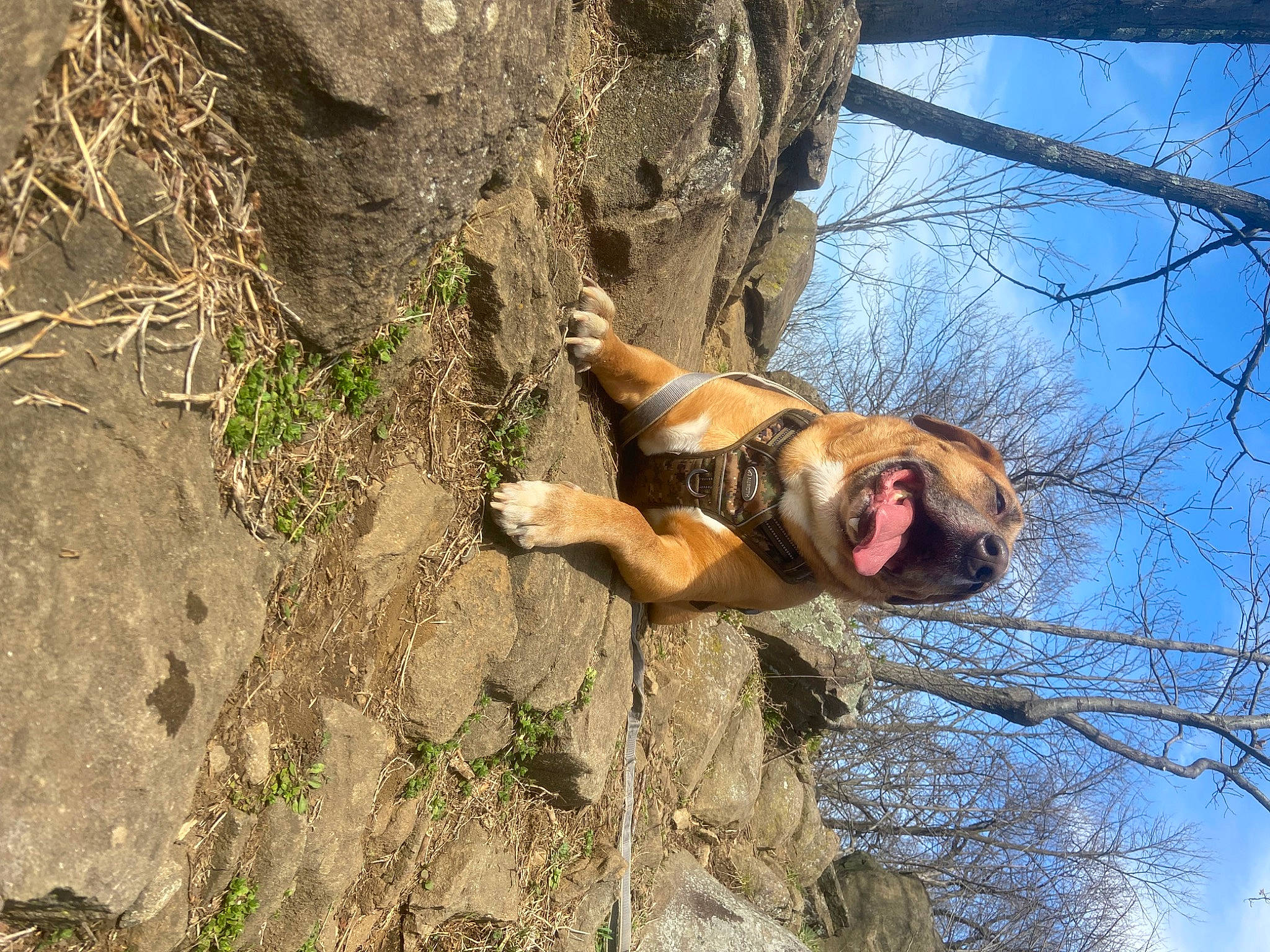 Chaka is registered to the contest to win money with this photo: adventure, bedrock, fawn, fun, grass, happy, landscape, leisure, people_in_nature, plant, recreation, rock, sky, smile, soil, sporting_group, tree, trunk, twig, wood