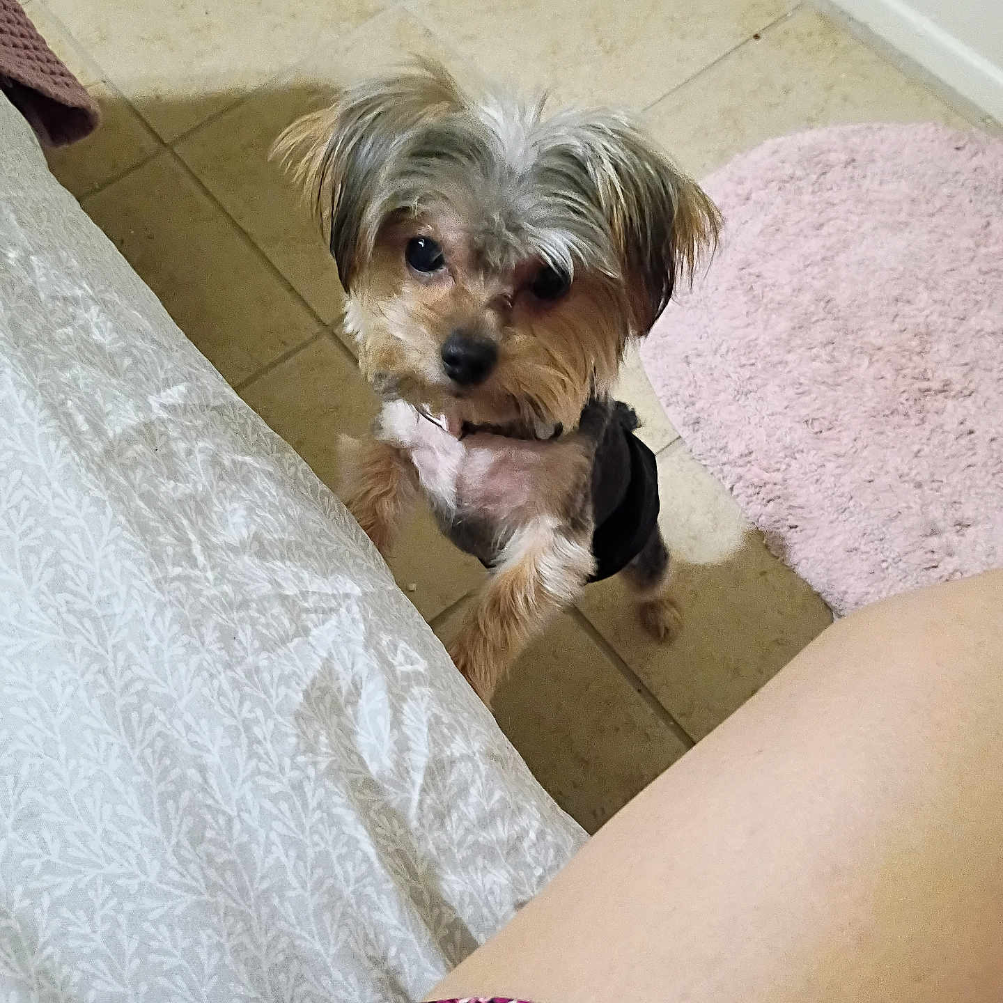 Charlie