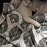 cat, white_cat, black_and_white, blanket, leaf_pattern, cozy, indoor, pet, relaxed, fur, paw, resting, cute, sleepy, comfort, animal, feline, soft, warm, home