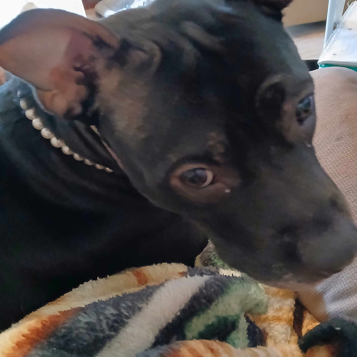 Zoey
