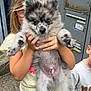Arès participe au concours pour gagner de l'argent avec cette photo : puppy, child, holding, outdoor, mailbox, curious, blond_hair, yellow_clothing, speckled_fur, cute, small_dog, person, hand, face_partially_visible, casual, background, standing, shorts, sleeves, fur