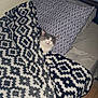 cat, blanket, bed, pillow, indoor, sleeping, cozy, fur, pet, comfort, resting, cute, animal, feline, pattern, home, relaxing, snug, gray, white
