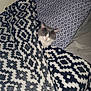 cat, blanket, bed, pillow, indoor, cozy, sleeping, pet, feline, pattern, comfort, resting, fur, animal, domestic, closeup, relaxation, cute, snug, home