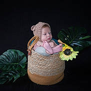 Lyam participe au concours pour gagner de l'argent avec cette photo : baby, basket, knitted_hat, flower, sunflower, green_leaves, plant, cute, infant, portrait, cozy, woven, nature, studio, props, child, headwear, feet, sitting, black_background