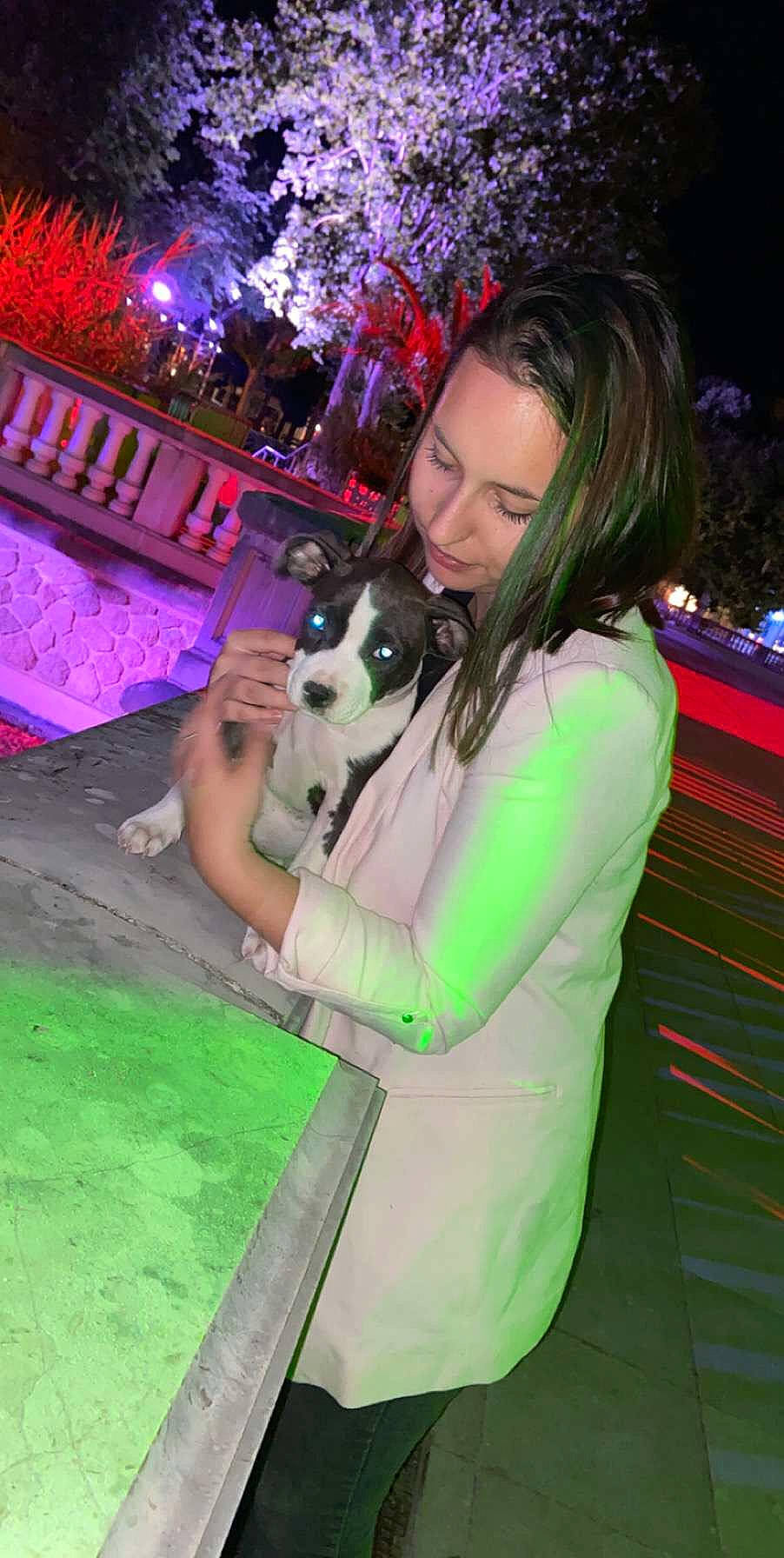 Lyna a rejoint le concours — aidez-le/la à gagner de superbes lots ! canidae, cool, fawn, fun