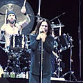 Sandra V.