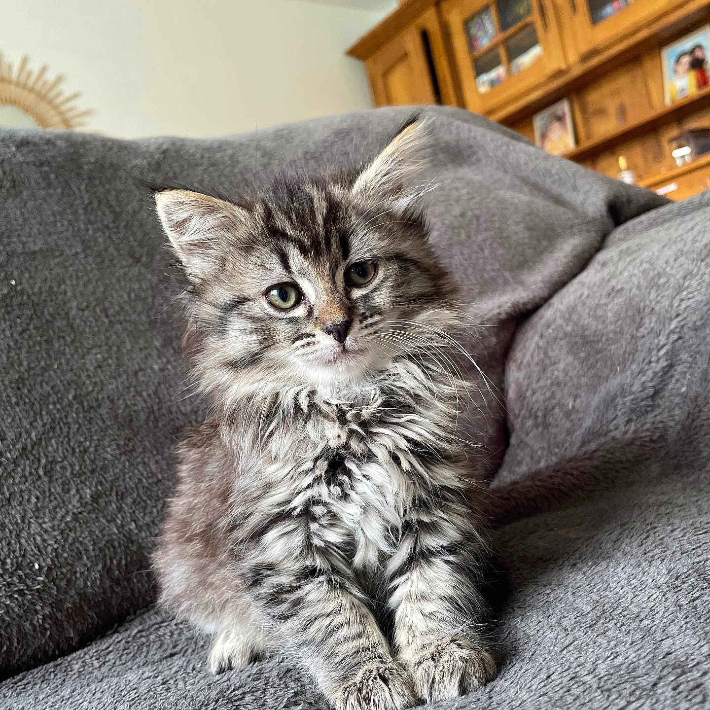 Lilie
