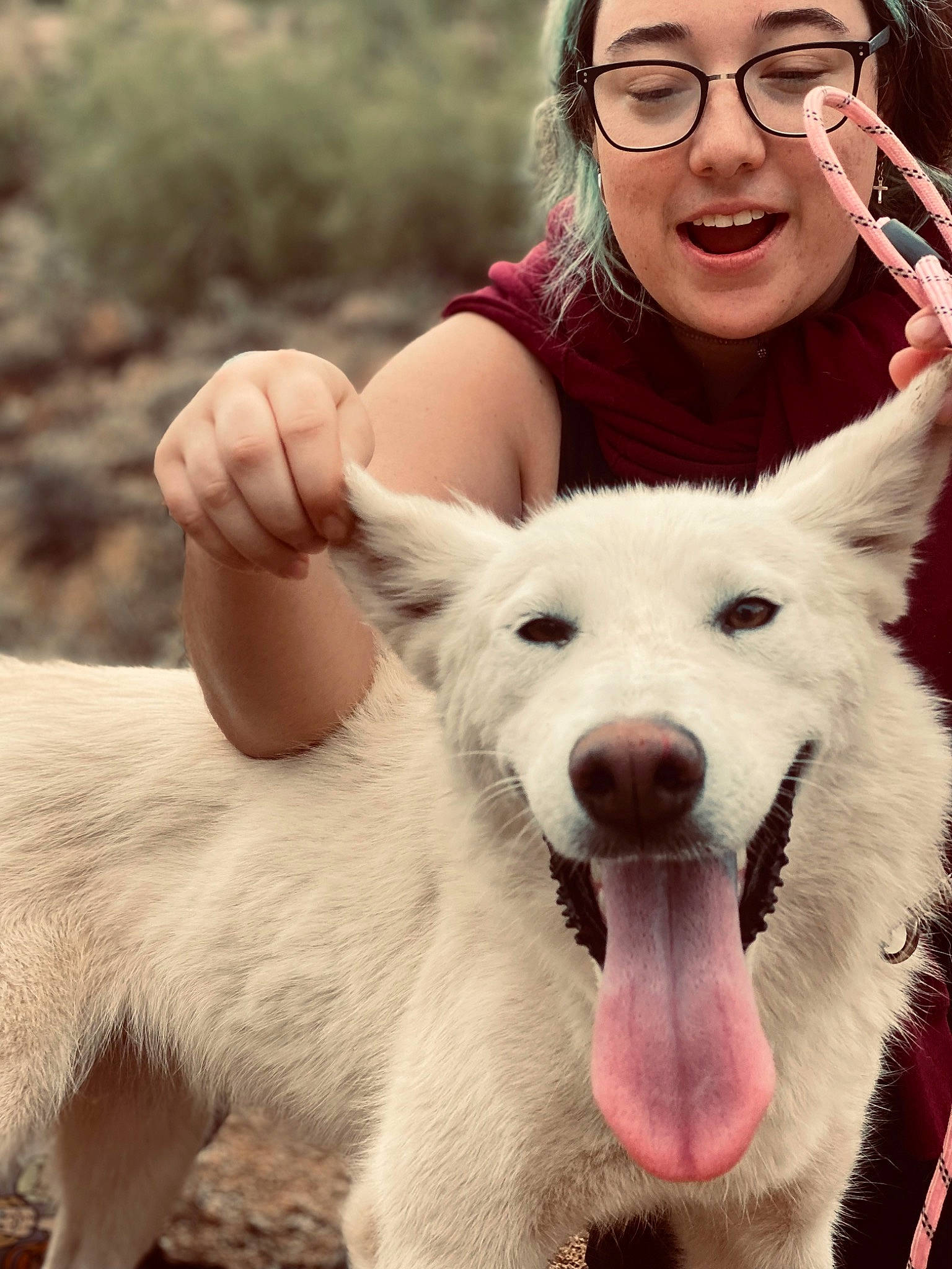 Nova is registered to the contest to win money with this photo: carnivore, companion_dog, dog, dog_breed, ear, eye, eyewear, fawn, flash_photography, friendship, fun, gesture, glasses, happy, jaw, photograph, skin, smile, snout, vision_care