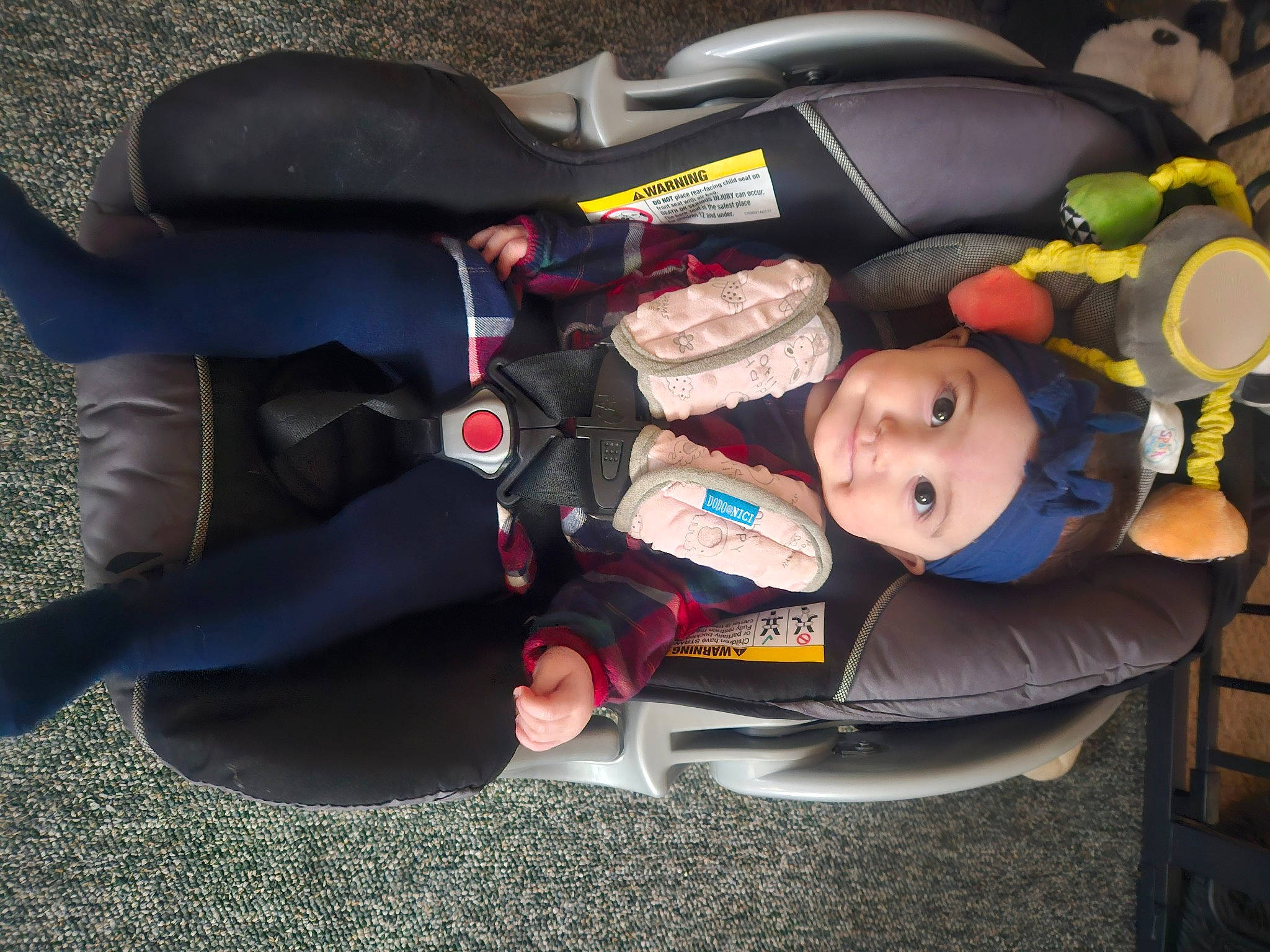 Ocean joined the competition — help win amazing prizes! auto_part, baby, baby_carriage, baby_products, baby_safety, baby_toddler_clothing, car_seat, carmine, child, comfort, fun, headwear, lap, person, personal_protective_equipment, recreation, smile, tire, toddler, tree