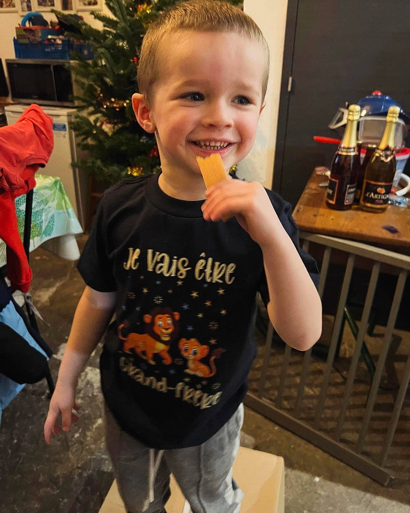 Louis participe au concours pour gagner de l'argent avec cette photo : child, cool, event, facial_expression, fun, hairstyle, happy, holiday, joy, leisure, organ, person, plant, sitting, sleeve, smile, standing, t_shirt, toddler, top