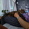 cat, tabby_cat, lap, person, hand, watch, patterned_pants, floral_shirt, curtains, window, plants, table, couch, home_interior, relaxing, indoor, furniture, resting, cozy, pet