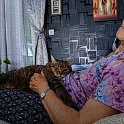 Donald a rejoint le concours — aidez-le/la à gagner de superbes lots ! affection, cat, comfort, couch, curtains, elderly_woman, floral_clothing, framed_artwork, glasses, hand, home_interior, indoor, pet, plant, relaxing, resting, seated, tabby_cat, wall_texture, watch