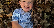 Dawson is registered to the contest to win money with this photo: child, boy, smile, happy, leaves, autumn, outdoor, nature, play, grass, hand, casual_clothing, short_sleeves, face, young, fall, season, joy, person, fun