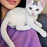 Yuki joined the competition — help win amazing prizes! cat, kitten, pet, white_cat, person, shoulder, purple_shirt, glasses, face, smile, indoor, closeup, fur, animal, cute, relaxed, young, curious, domestic, companion