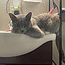 cat, gray_cat, sink, bathroom, faucet, soap_dispenser, pet, animal, indoor, resting, green_eyes, fur, tail, countertop, wall, household, relaxed, domestic, cute, laying