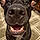 Xena