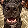 Xena