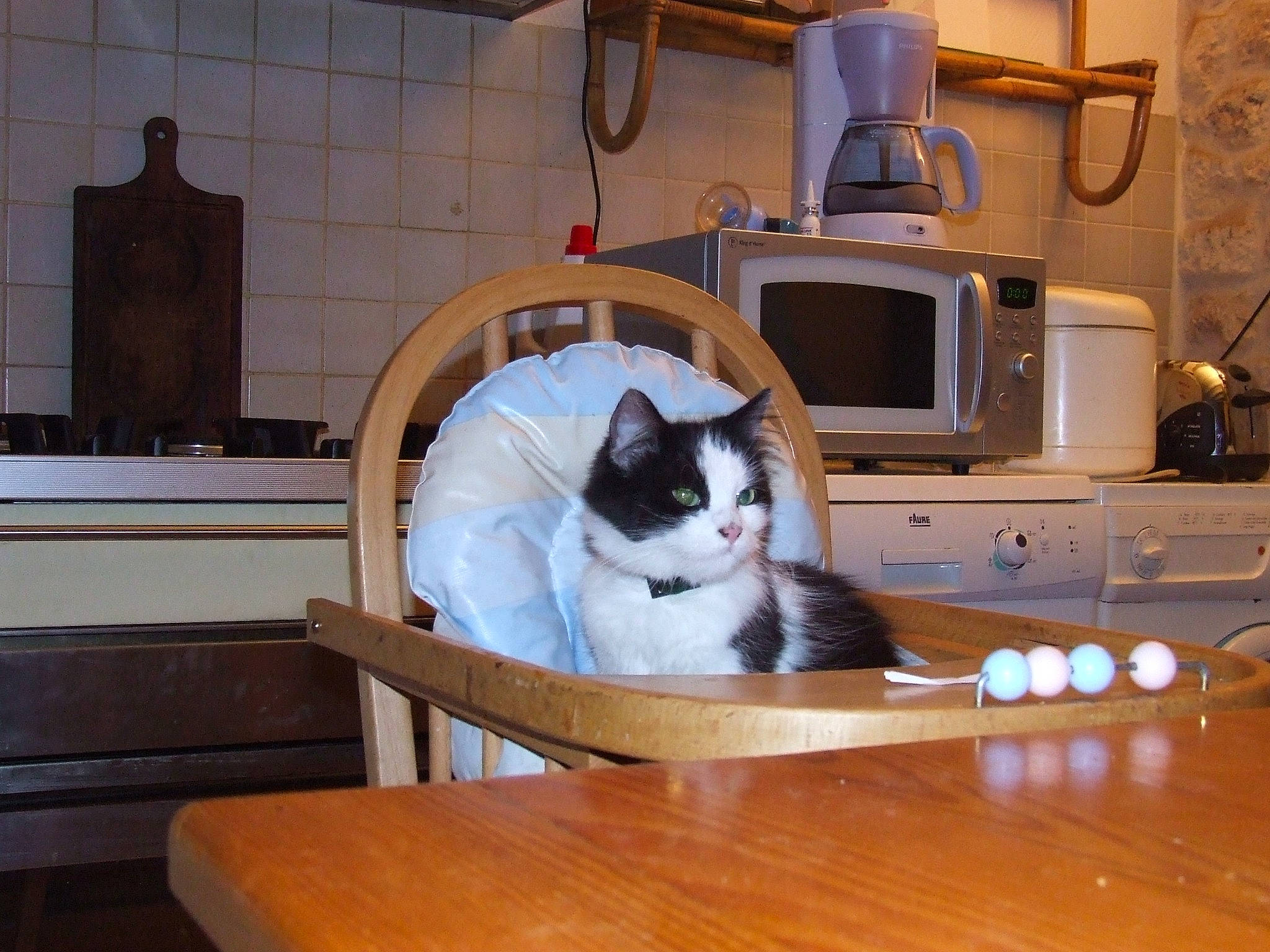 Piloupette participe au concours pour gagner de l'argent avec cette photo : carnivore, cat, comfort, computer, domestic_short_haired_cat, felidae, flooring, fur, hardwood, home_appliance, living_room, output_device, peripheral, room, small_to_medium_sized_cats, table, television_set, whiskers, wood, wood_flooring