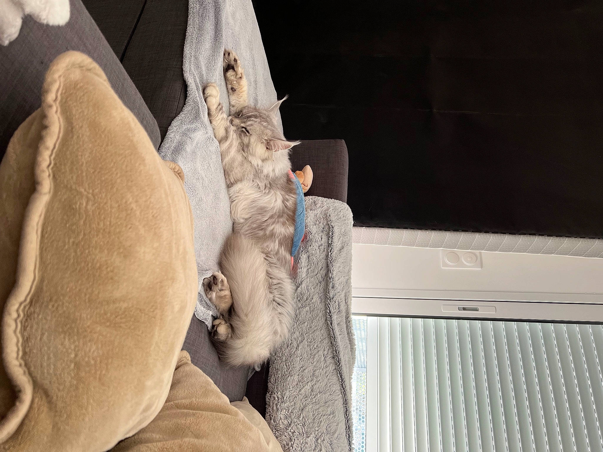 Sweet a rejoint le concours — aidez-le/la à gagner de superbes lots ! art, artifact, beard, carving, classical_sculpture, comfort, fur, gesture, human_leg, jaw, linens, monument, paper, plaster, room, sculptor, sculpture, stone_carving, visual_arts, wood