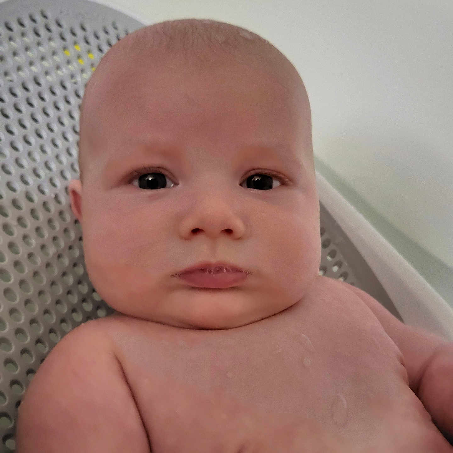 Devin is registered to the contest to win money with this photo: baby, chair, chest, child, closeup, cute, expression, eyes, face, head, human, indoor, infant, person, plastic, portrait, shoulders, sitting, skin, young