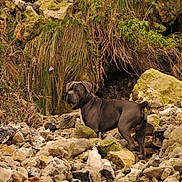 Hernest participe au concours pour gagner de l'argent avec cette photo :