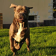 Hernest a rejoint le concours — aidez-le/la à gagner de superbes lots !