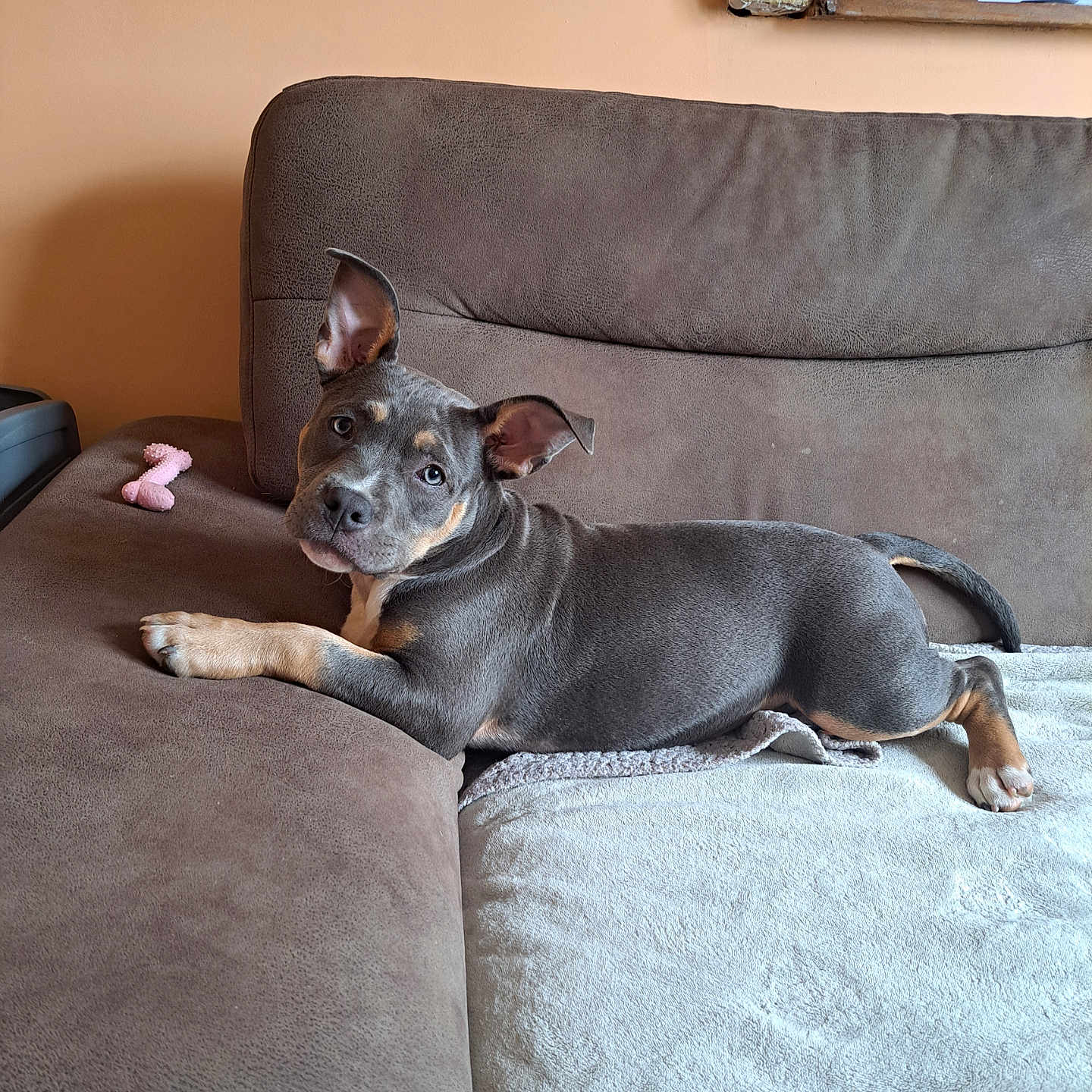 Luna