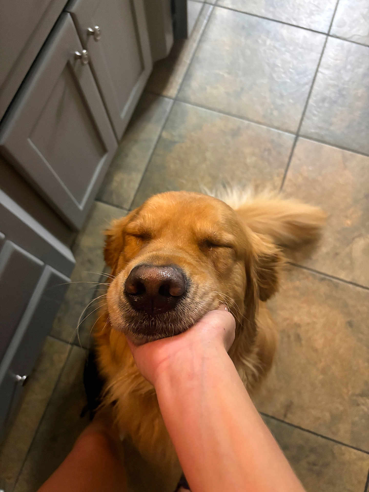 Bailee