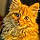 Fynn