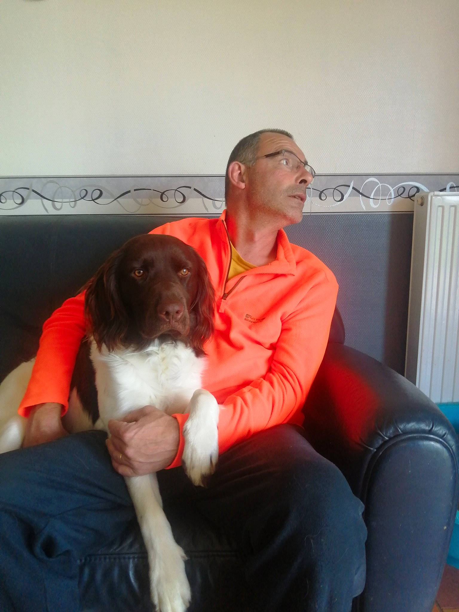 Raybann a rejoint le concours — aidez-le/la à gagner de superbes lots ! canidae, carnivore, chair, comfort, companion_dog, couch, dog, dog_breed, flesh, fun, fur, human_leg, knee, lap, living_room, puppy_love, sitting, sporting_group, thigh, toy_dog