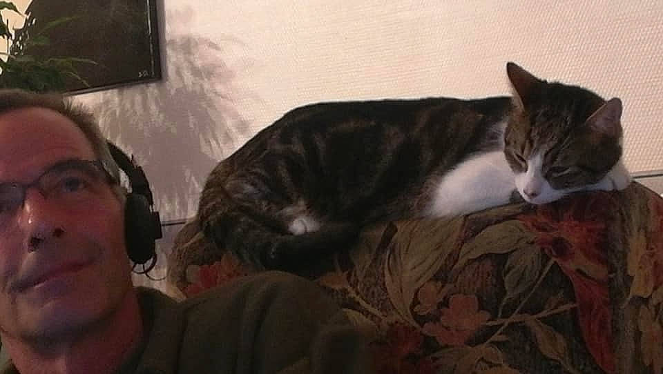 Nemo a rejoint le concours — aidez-le/la à gagner de superbes lots ! cat, cat_like_mammal, kitten, person, small_to_medium_sized_cats, snout, whiskers