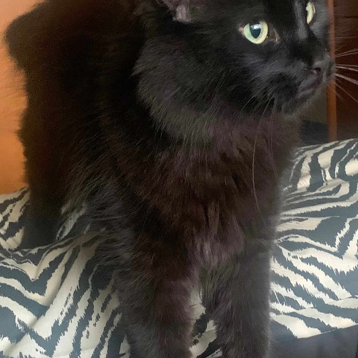 Kylo