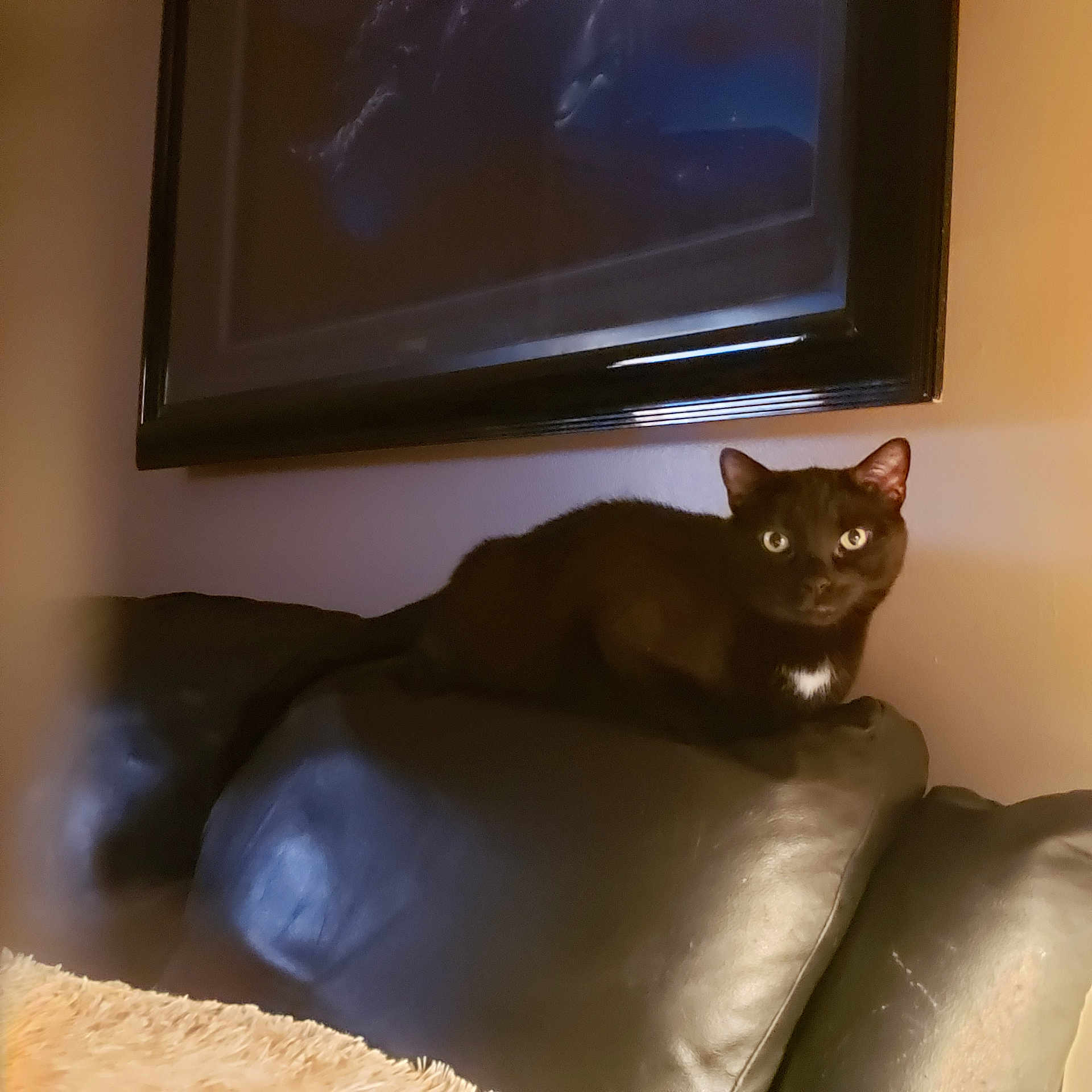 Shadow
