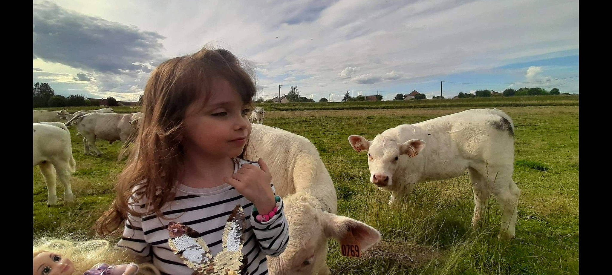 Maëly a rejoint le concours — aidez-le/la à gagner de superbes lots ! adaptation, bovine, cow_goat_family, farm, grass, grassland, grazing, head, landscape, livestock, mammal, meadow, nose, pasture, person, photography, rural_area, sheep, skin, snout