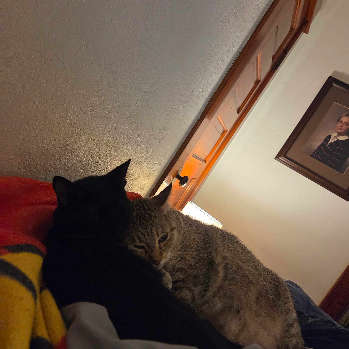 Obsidian And Jello