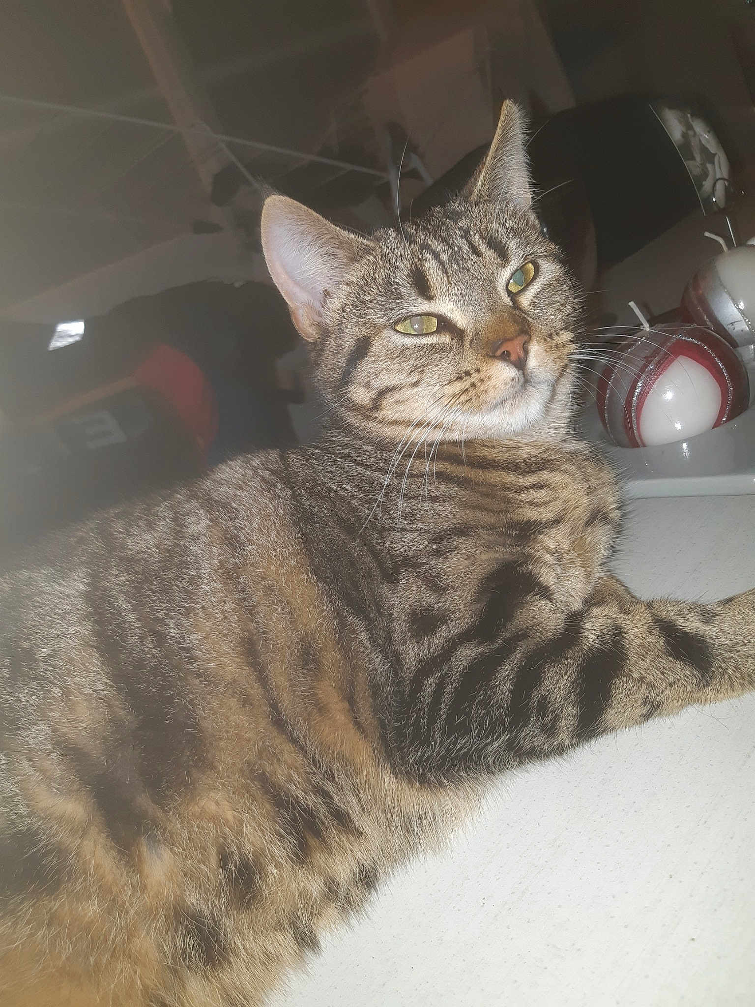 Choupi