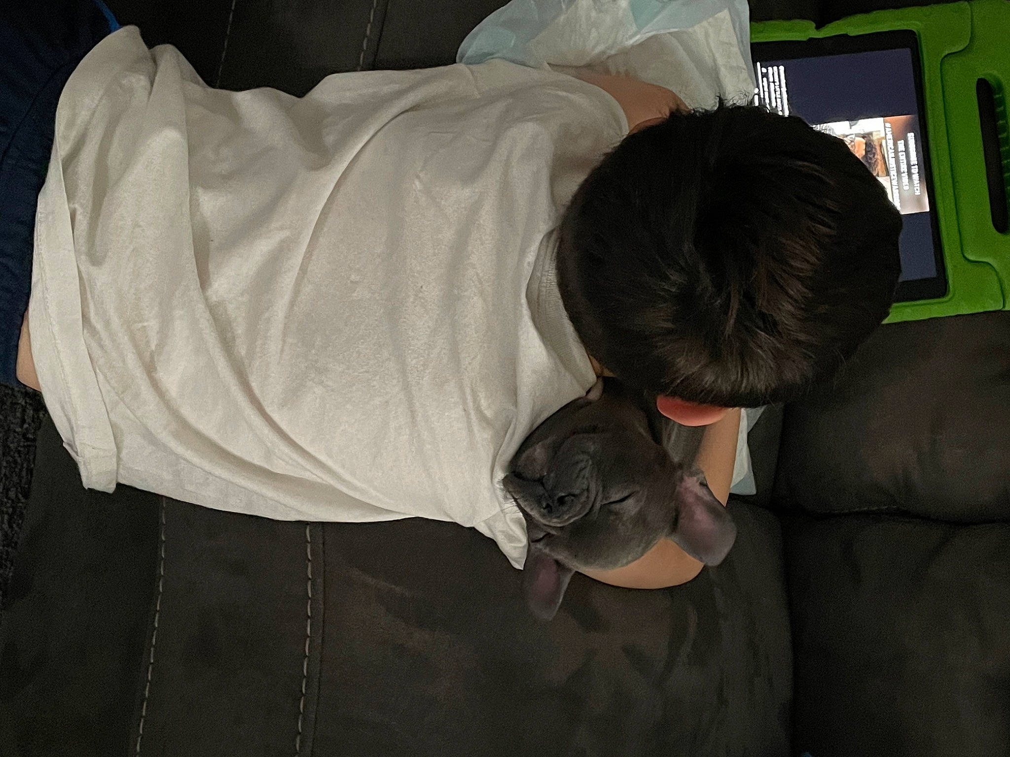 Biscuit is registered to the contest to win money with this photo: car_seat, comfort, display_device, elbow, finger, fun, hat, helmet, linens, machine, public_transport, room, sitting, sleeve, t_shirt, toddler