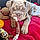Mable