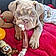 Mable