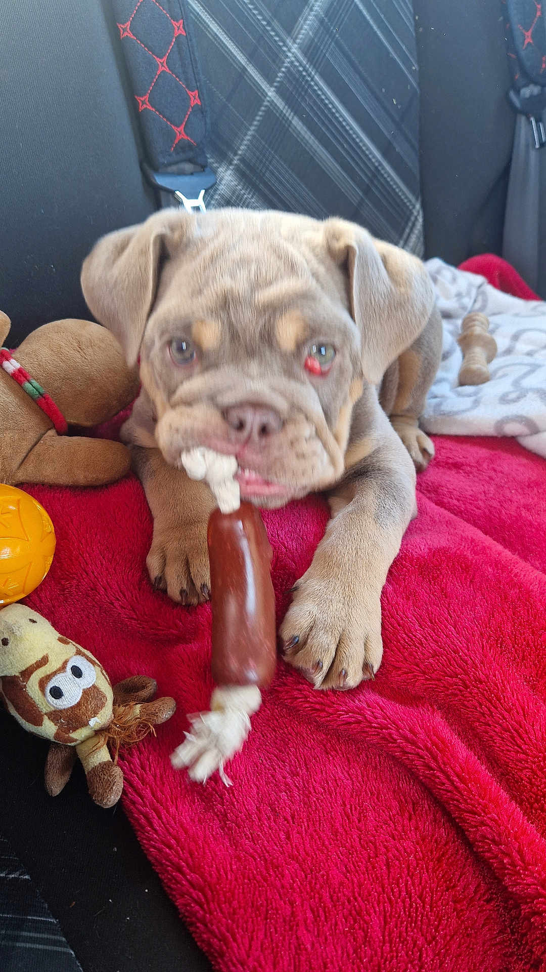 Mable
