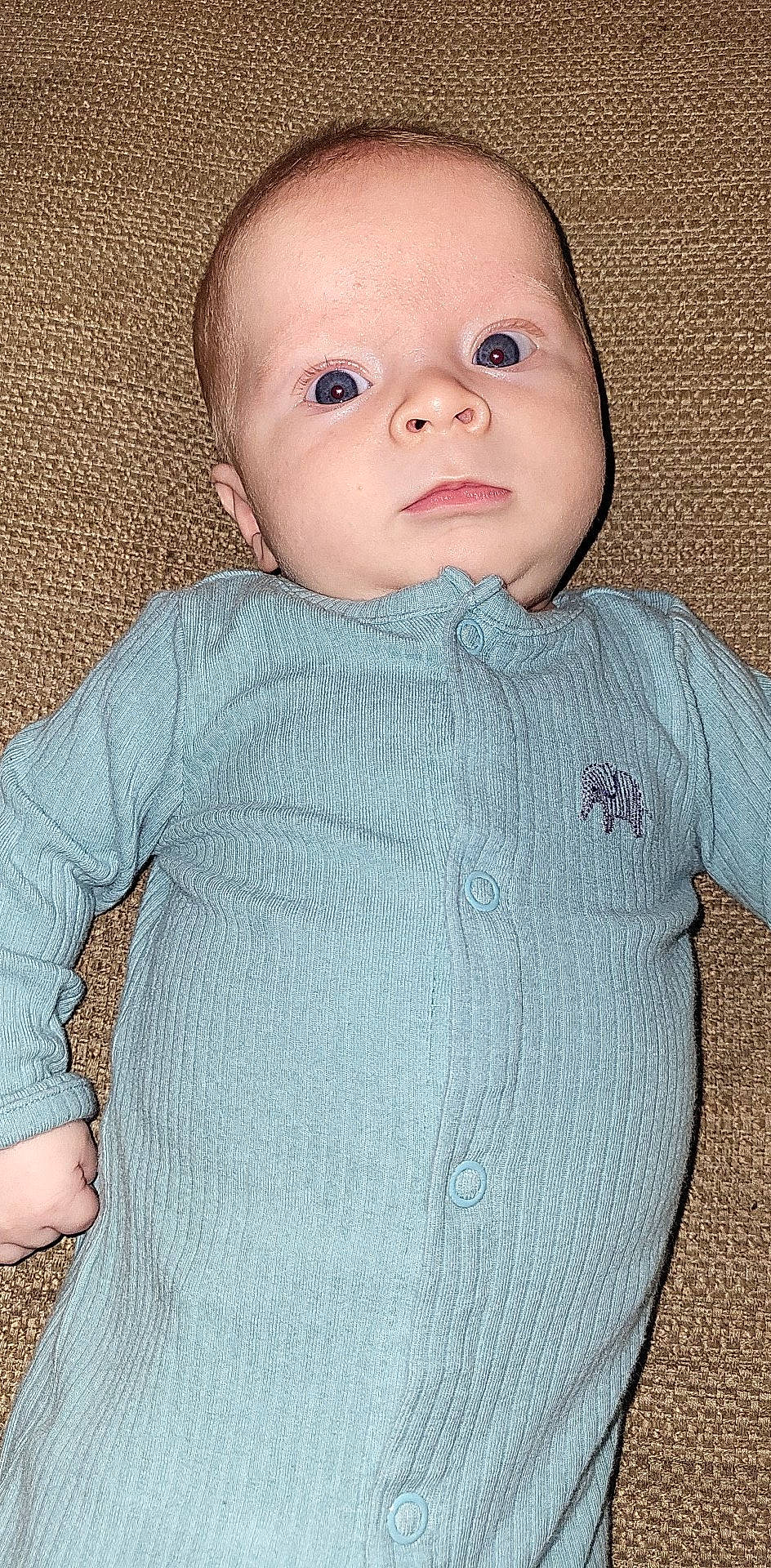 Landon joined the competition — help win amazing prizes! baby, baby_toddler_clothing, cheek, child, collar, eyelash, face, grey, head, iris, lip, nose, outerwear, pattern, person, skin, sleeve, textile, toddler, wool