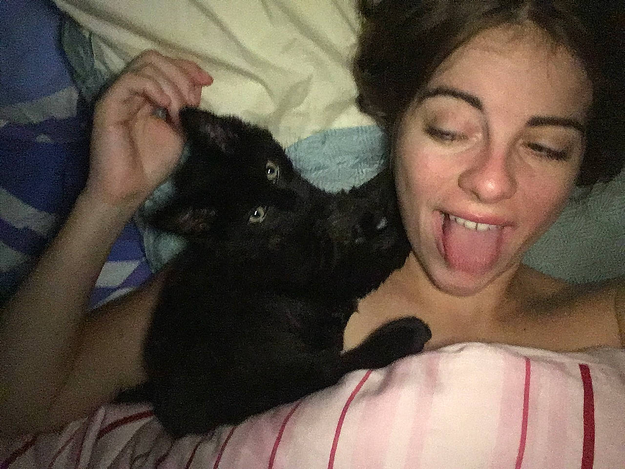 Oope a rejoint le concours — aidez-le/la à gagner de superbes lots ! arm, black, black_cat, black_hair, carnivoran, cat, cat_like_mammal, dog_breed_group, ear, finger, girl, joy, kitten, mammal, mouth, nose, organ, person, skin, small_to_medium_sized_cats