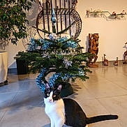 Neméa participe au concours pour gagner de l'argent avec cette photo : animal, black_and_white, cat, christmas_tree, curious, decor, floor, furniture, giraffe_figurine, greenery, holiday, home, indoor, interior, ornament, pet, plant, sitting, tile_floor, wooden_statue